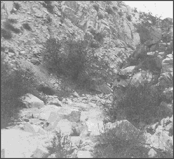 Picture of coyote canyon