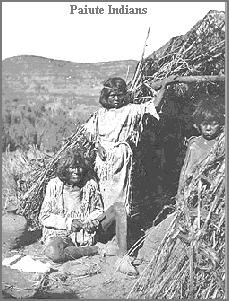 Picture of Paiute Indians